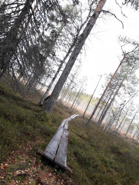 20181008_115754.jpg