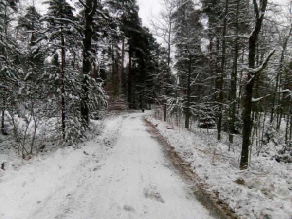 221218 001.jpg