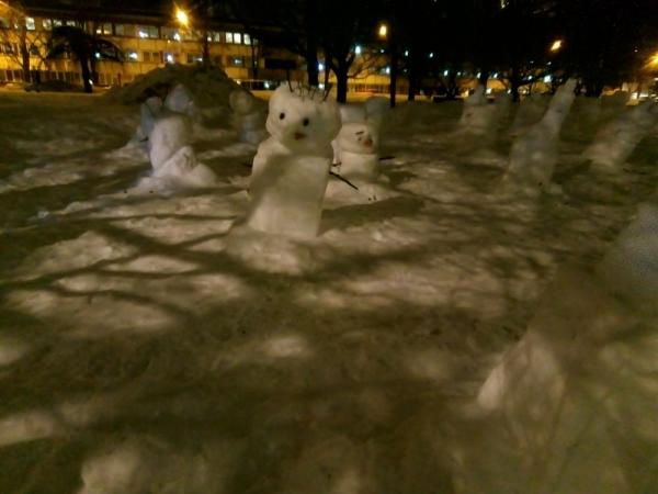 IMG_20190205_185903.jpg