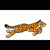 Tigr